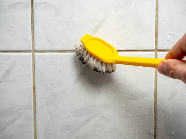 Best Mold Testing  in Curwensville, PA