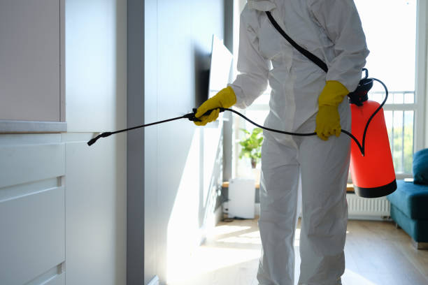 Best Commercial Mold Removal  in Curwensville, PA